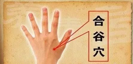 20240116184826402.jpg